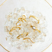 Paula Ring